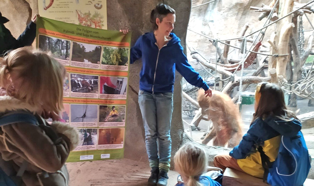 Kinder beobachten die Umweltbildnerin, die ein Bildplakat zur Regenwaldzerstörung hochhält, während im Hintergrund ein Orang-Utan in seiner Anlage umherläuft.