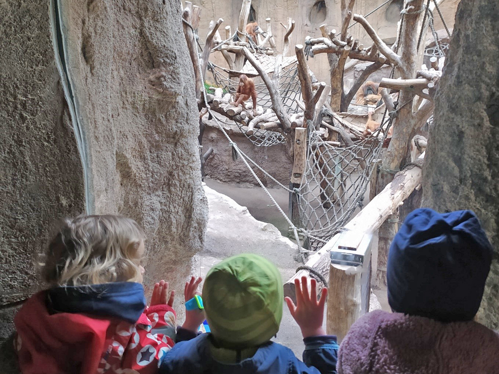 Kinder schauen durch die Glasscheibe in das Orang-Utan-Gehege.