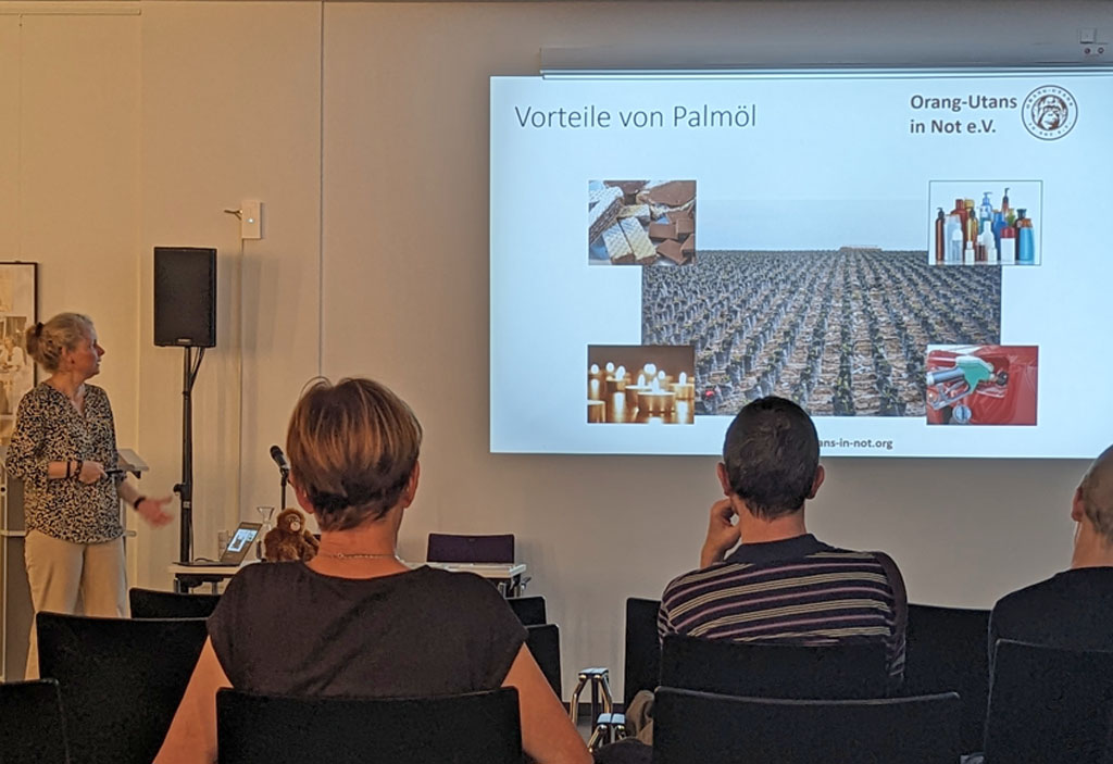 Die Vorsitzende des Vereins hält einen Vortrag. Die Aufnahme wurde aus dem Publikum gemacht.