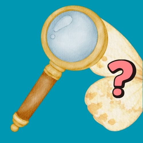 Grafik: Vor einem blauen Hintergrund ist eine Lupe über einem Flügel eines Schmetterlings abgebildet. Daneben steht ein „?“.