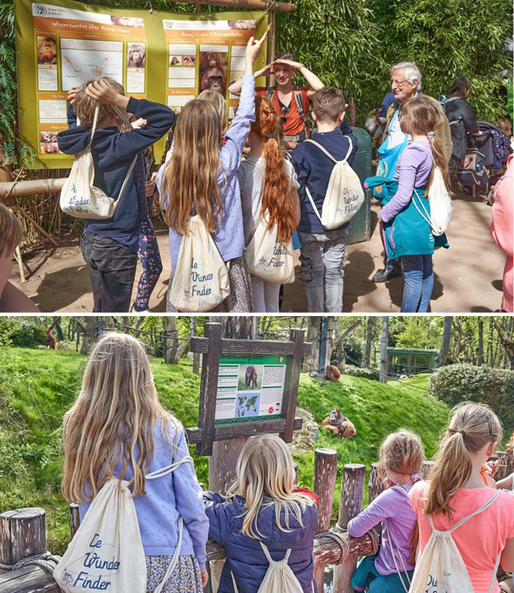 Bild oben: Alt: Mehrere Kinder und zwei erwachsene Personen stehen vor einem Plakat. Ein Kind meldet sich. Bild unten: Vier Kinder stehen vor dem Freigehege einer Orang-Utan-Gruppe. Alle tragen den gleichen Rucksack mit der Aufschrift: „Die Wunderfinder“ bei sich.