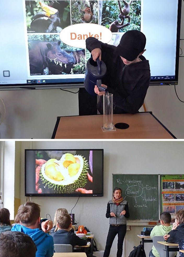 Bild oben: Ein Kind steht vor einer digitalen Tafel und gießt Wasser in einen durchsichtigen Kolben, auf dessen Boden eine Erdnuss liegt. Bild unten: In einem Klassenzimmer steht die Umweltbildnerin vor einer Tafel, die mit einem Plakat behangen und mit einer Mindmap zum Thema Palmöl beschrieben ist. Links im Bild befindet sich eine digitale Tafel, auf der eine Präsentation läuft. Ein Kind meldet sich.