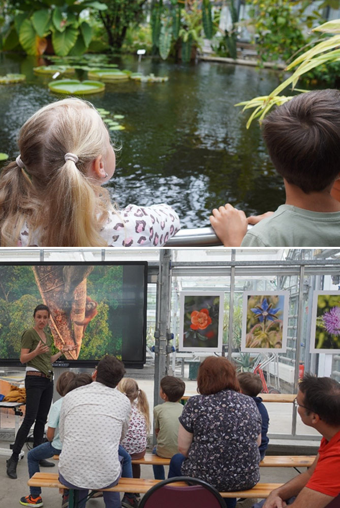 240704_Botanischer Garten_01