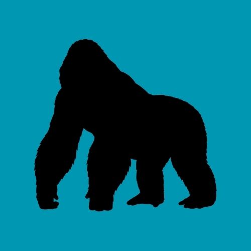 Grafik: Vor einem blauen Hintergrund ist die Silhouette eines Gorillas abgebildet.