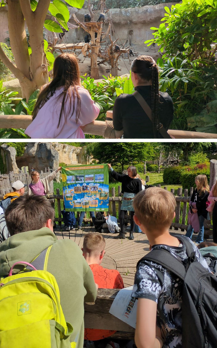 Bild oben: Zwei Schülerinnen beobachten Schimpansen. Bild unten: Eine Schulklasse befindet sich auf einer Art Holzterrasse vor dem Pongoland des Zoo Leipzig. Die Umweltbildnerin hält gemeinsam mit einer Lehrkraft ein Plakat hoch, auf dem die Auswirkungen von Monokulturen auf das Klima thematisiert sind.