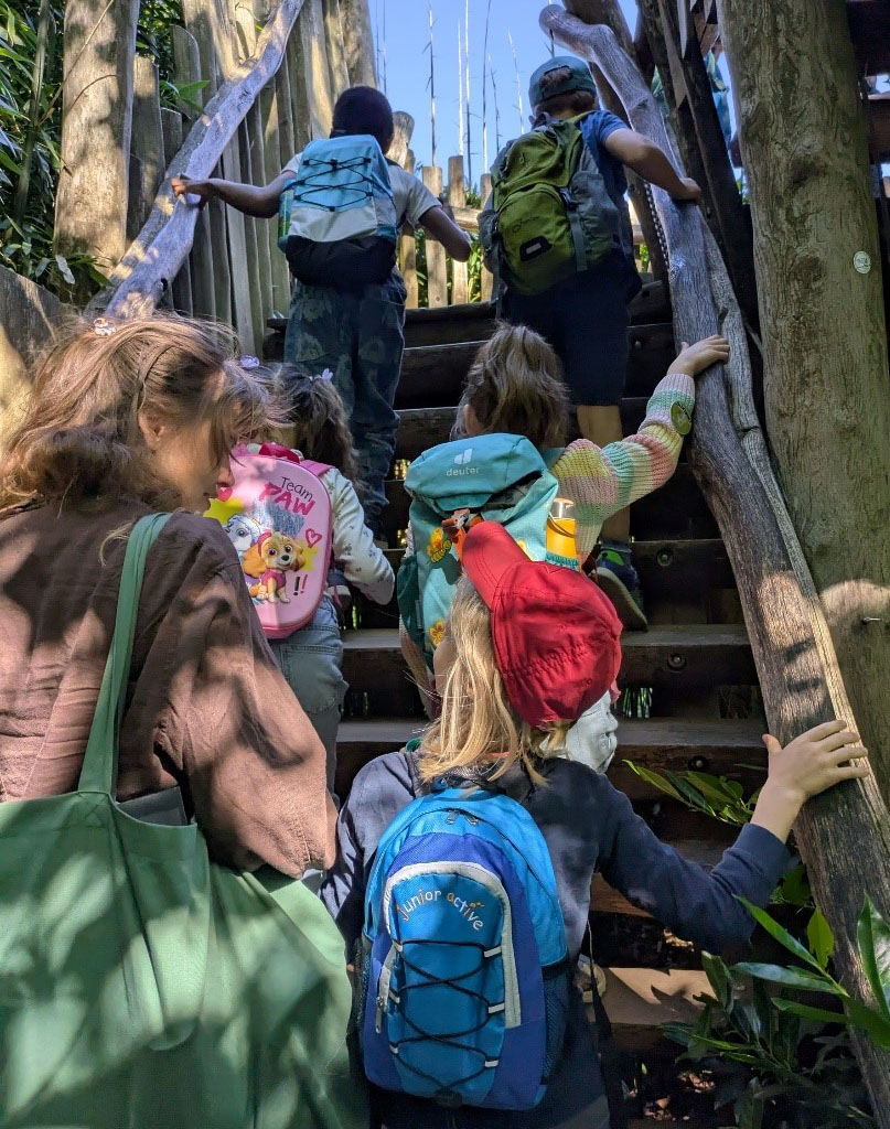 Kinder gehen mit einer Lehrerin die Treppe zu einem Hochstand hoch.