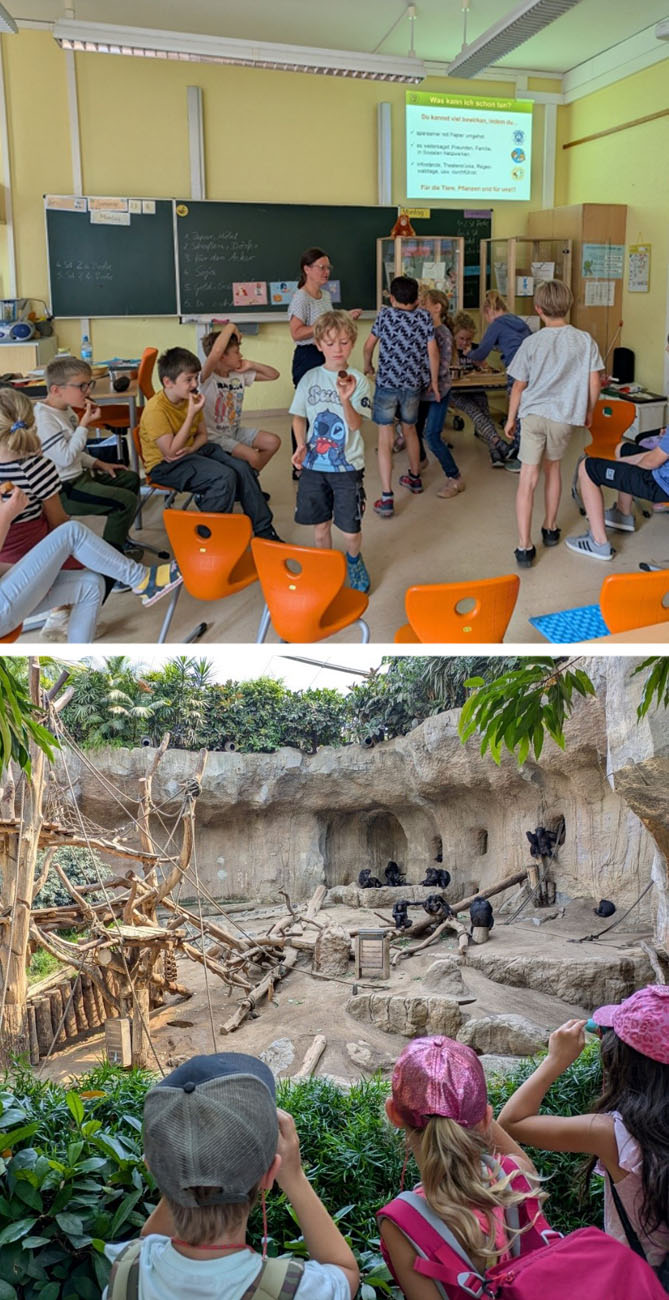 Bild oben: In einem Klassenzimmer stehen Stühle im Kreis. Einige Kinder sitzen, andere bewegen sich durch das Zimmer. An die vordere Wand wird eine Präsentation projiziert. Bild unten: Vier Kinder stehen vor einem Schimpansen-Gehege und beobachten diese durch Ferngläser.