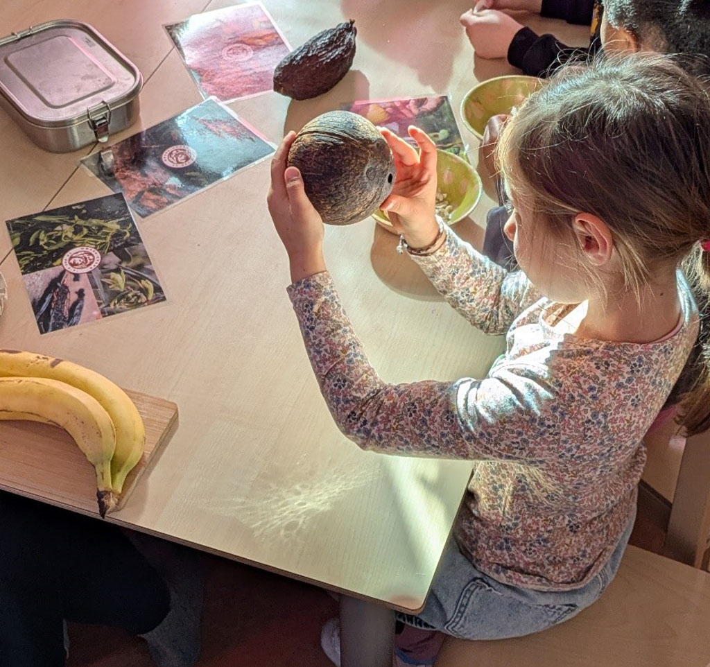 Ein Kind sitz an einem Tisch und betrachtet eine Kokosnuss. Auf dem Tisch liegen Bananen, eine Kakaofrucht und Bildkarten.