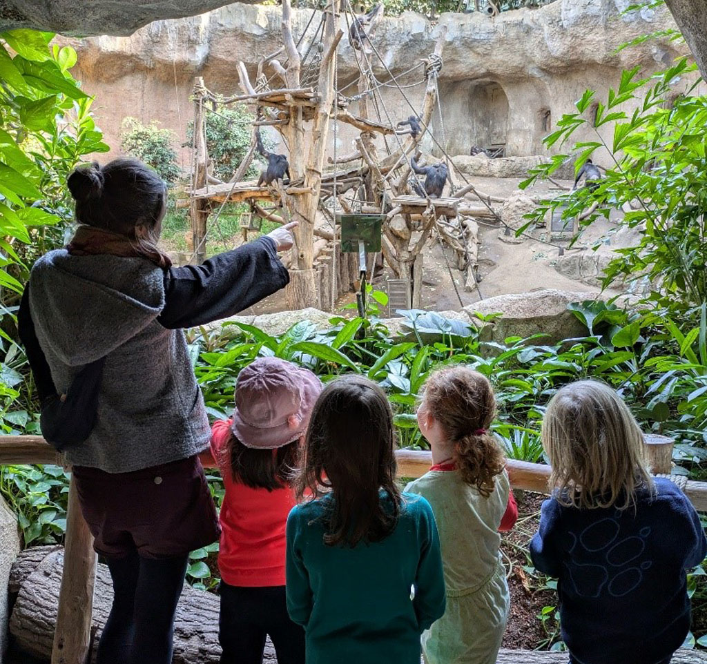 Vier Kinder und die Umweltbildnerin stehen vor einem Schimpansen-Gehege. Die Umweltbildnerin zeigt auf etwas.