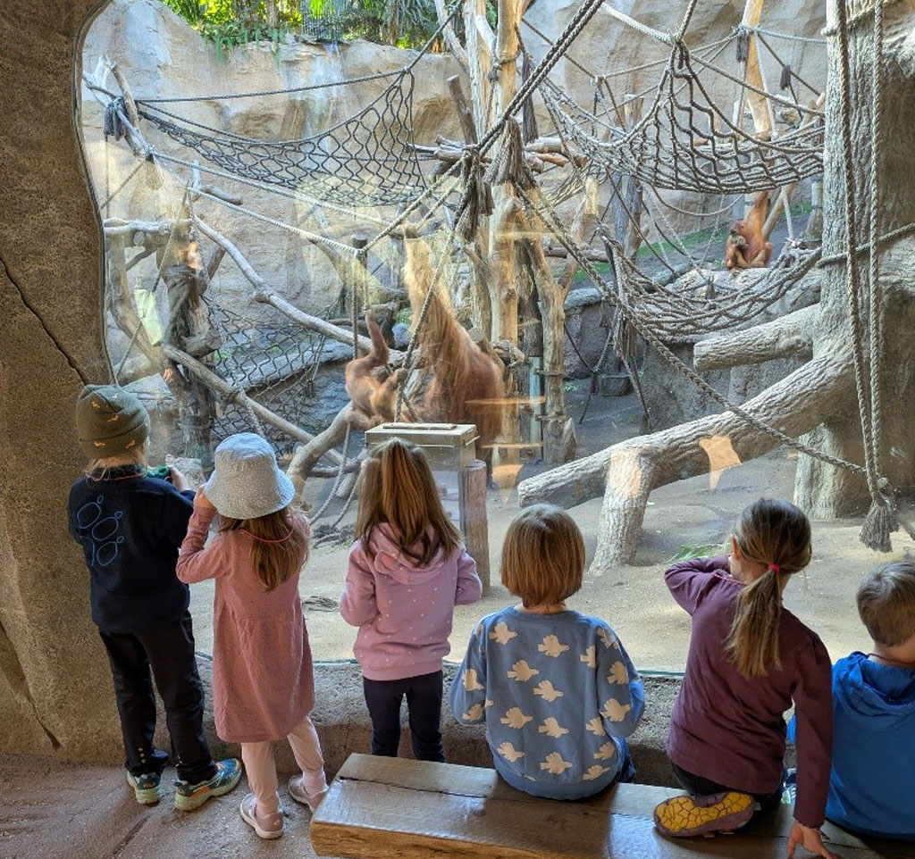 Mehrere Kinder sitzen und stehen vor dem Orang-Utan-Gehege.