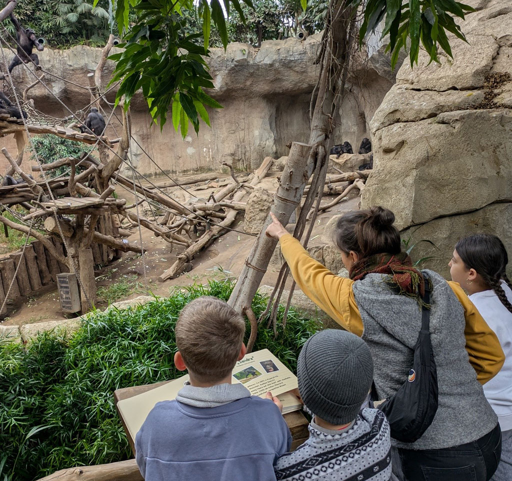 Drei Kinder stehen mit der Umweltbildnerin am Gorilla-Gehege. Die Umweltbildnerin zeigt auf etwas. Ein Kind blättert in einem Buch, welches an der Absperrung des Geheges befestigt ist.