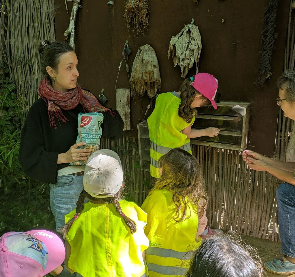 Die Umweltbildnerin steht mit Kitakindern, welches Neongelbe Warnwesten tragen und einer erwachsenen Person an einer Tafel an der Beschäftigungsmaterial für Menschenaffen angebracht ist. Eines der Kinder stochert am Stocherkasten gerade nach einer Erdnuss.