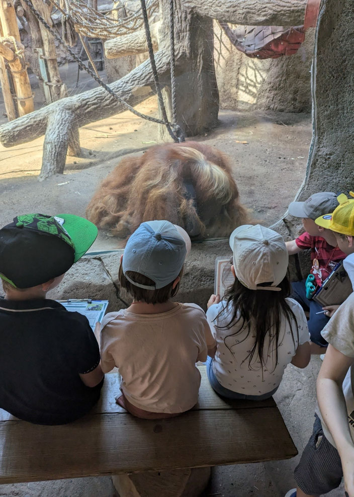 Fünf Kinder sitzen und hocken vor dem Gehege eines Orang-Utan-Männchens, welches direkt an der Glasscheibe auf dem Boden hockt. Zwei der Kinder halten Beobachtungsbögen in der Hand.