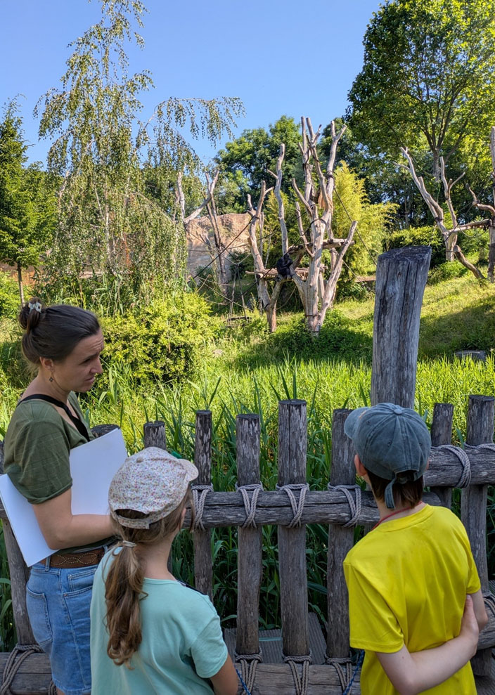 Zwei Kinder und die Umweltbildnerin stehen vor dem Freigehege der Schimpansen. In einiger Entfernung sitzt ein Schimpanse auf einer Holzplattform.