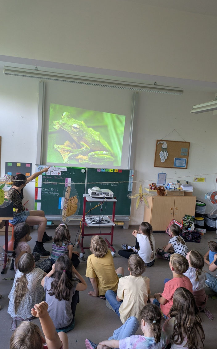 Kinder sitzen auf dem Boden vor einer digitalen Präsentation. Ein Kind meldet sich. Die Umweltbildnerin sitzt vorn und zeigt auf die Schwimmhäute eines Frosches.