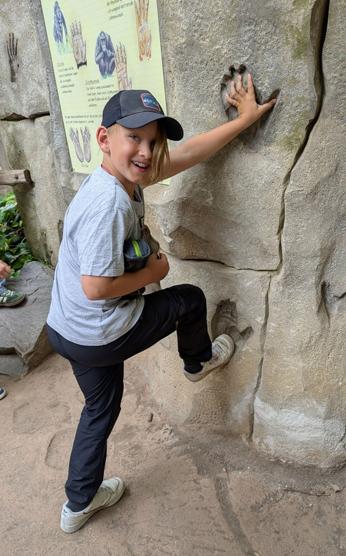 Ein Kind legt Hand und Fuß in die Gorilla-Abdrücke auf einem Felsen.