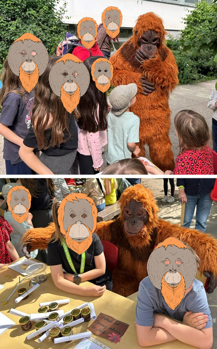 Bild oben: Kinder stehen in einer Traube vor einem Menschen im Orang-Utan-Kostüm. Dieser hält sich die Hand vor den Mund. Bild unten: An einem Tisch verkaufen zwei Kinder Schokostreich als Spende für Orang-Utans in Not. Von hinten umarmt sie ein Mensch im Orang-Utan-Kostüm. Ringsum stehen weitere Besucher des Schulfestes.