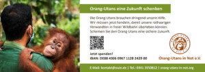 Vorschau der Freianzeige: Auf der linken Seite ist ein Foto abgebildet, das einen Pfleger mit einem Orang-Utan auf dem Arm zeigt. Der Orang-Utan schaut in die Kamera. Daneben steht am oberen Rand: „Orang-Utans eine Zukunft schenken“; „Die Orang-Utans brauchen dringend unsere Hilfe. Wir müssen jetzt handeln, damit unsere rothaarigen Verwandten in freier Wildbahn überleben können. Schenken Sie den Orang-Utans eine sichere Zukunft.“; „Jetzt spenden“. Im unteren Bildbereich sind IBAN-Nummer, Vereinslogo, Vereinsname und Kontaktdaten abgebildet.