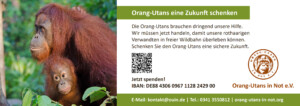 Vorschau der Freianzeige: Auf der linken Seite ist ein Foto abgebildet, das eine Orang-Utan-Mutter mit ihrem Kind zeigt. Das Kind klammert sich am Bauch der Mutter fest. Daneben steht am oberen Rand: „Orang-Utans eine Zukunft schenken“; „Die Orang-Utans brauchen dringend unsere Hilfe. Wir müssen jetzt handeln, damit unsere rothaarigen Verwandten in freier Wildbahn überleben können. Schenken Sie den Orang-Utans eine sichere Zukunft.“; „Jetzt spenden“. Im unteren Bildbereich sind IBAN-Nummer, Vereinslogo, Vereinsname und Kontaktdaten abgebildet.