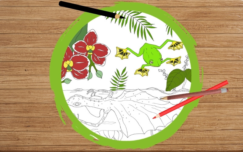 Grafik: Auf einem Hintergrund mit Holzstruktur ist ein dicker grüner Kreis gezeichnet. Daneben liegen drei Malstifte. Innerhalb des Kreises ist ein Ausschnitt eines Ausmalbildes abgebildet. Der Ausschnitt zeigt einen Wallace-Flugfrosch und eine Sumatra-Flugechse.