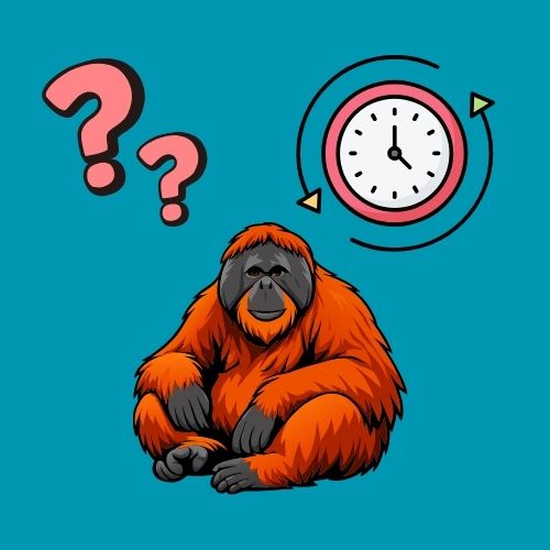 Grafik: Vor einem blauen Hintergrund sind ein Orang-Utans, sowie darüber eine Uhr und Fragezeichen abgebildet.