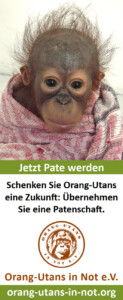 Vorschau der Freianzeige im Format 45x110: : Oben ist ein Porträt eines Baby-Orang-Utans abgebildet, der in eine Decke gewickelt ist. Darunter steht „Jetzt Pate werden“ und „Schenken Sie den Orang-Utans eine Zukunft: Übernehmen Sie eine Patenschaft“. Darunter sind Vereinslogo, Vereinsname und Webadresse abgebildet.