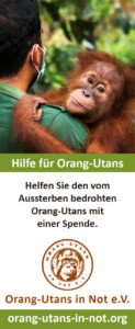 Vorschau der Freianzeige: Oben ist ein Bild abgebildet, das einen Pfleger mit einem Orang-Utan auf dem Arm zeigt. Der Orang-Utan schaut in die Kamera. Darunter steht „Hilfe für Orang-Utans“; „Helfen Sie den vom Aussterben bedrohten Orang-Utans mit einer Spende.“ Darunter sind das Vereinslogo, der Vereinsname und die Webadresse abgebildet.