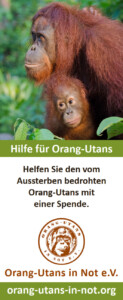 Vorschau der Freianzeige: Oben ist ein Bild abgebildet, das eine Orang-Utan-Mutter mit ihrem Kind zeigt. Das Kind klammert sich am Bauch der Mutter fest. Darunter steht „Hilfe für Orang-Utans“; „Helfen Sie den vom Aussterben bedrohten Orang-Utans mit einer Spende.“ Darunter sind das Vereinslogo, der Vereinsname und die Webadresse abgebildet.