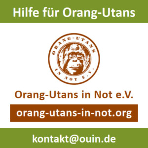Vorschau der Freianzeige im Format 45x45: Oben steht "Hilfe für Orang-Utans". Darunter ist das Vereinslogo abgebildet. Unten steht der Vereinsname, die Webadresse und die E-Mail-Adresse.