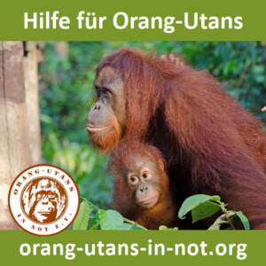 Vorschau der Freianzeige: Die Anzeige zeigt ein Bild mit einer Orang-Utan-Mutter und ihrem Kind. Das Kind hält sich am Bauch der Mutter fest. Oben steht "Hilfe für Orang-Utans". Unten steht "orang-utans-in-not.org". Links unten ist das Vereinsloge abgebildet.