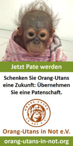 Vorschau der Freianzeige im Format 45x90: Oben ist ein Porträt eines Baby-Orang-Utans abgebildet, der in eine Decke gewickelt ist. Darunter steht „Jetzt Pate werden“ und „Schenken Sie den Orang-Utans eine Zukunft: Übernehmen Sie eine Patenschaft“. Darunter sind Vereinslogo, Vereinsname und Webadresse abgebildet.