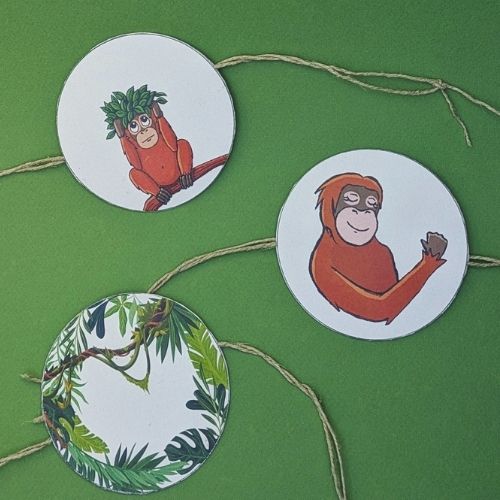 Foto selbstgebastelter Zauberscheiben mit Orang-Utan-Motiven vor einem grünen Hintergrund.