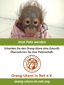 Vorschau der Freianzeige: Oben ist ein Porträt eines Baby-Orang-Utans abgebildet, der in eine Decke gewickelt ist. Darunter steht „Jetzt Pate werden“; „Schenken Sie den Orang-Utans eine Zukunft: Übernehmen Sie eine Patenschaft“. Darunter sind das Vereinslogo, der Vereinsname und die Webadresse abgebildet.