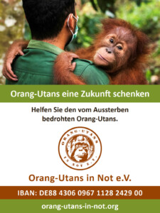 Vorschau der Freianzeige: Oben ist ein Foto abgebildet, das einen Pfleger mit einem Orang-Utan auf dem Arm zeigt. Der Orang-Utan schaut in die Kamera. Darunter steht „Orang-Utans eine Zukunft schenken“; „Helfen Sie den vom Aussterben bedrohten Orang-Utans.“ Darunter sind das Vereinslogo, der Vereinsname, die IBAN-Nummer und die Webadresse abgebildet.