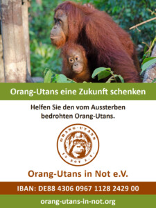 Vorschau der Freianzeige: Oben ist ein Foto abgebildet, das eine Orang-Utan-Mutter mit ihrem Kind zeigt. Das Kind klammert sich am Bauch der Mutter fest. Darunter steht „Orang-Utans eine Zukunft schenken“; „Helfen Sie den vom Aussterben bedrohten Orang-Utans.“ Darunter sind das Vereinslogo, der Vereinsname, die IBAN-Nummer und die Webadresse abgebildet.