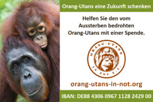 Vorschau der Freianzeige: Auf der linken Seite ist ein Porträt einer Orang-Utan-Mutter mit ihrem Kind abgebildet. Daneben steht am oberen Rand: „Orang-Utans eine Zukunft schenken“; „Helfen Sie den vom Aussterben bedrohten Orang-Utans mit einer Spende.“ Darunter sind das Vereinslogo, die Webadresse und IBAN-Nummer abgebildet.