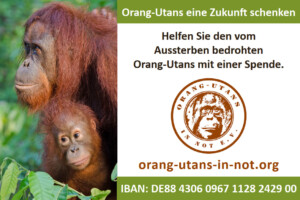 Vorschau der Freianzeige: Auf der linken Seite ist ein Porträt einer Orang-Utan-Mutter mit ihrem Kind abgebildet. Daneben steht am oberen Rand: „Orang-Utans eine Zukunft schenken“; „Helfen Sie den vom Aussterben bedrohten Orang-Utans mit einer Spende.“ Darunter sind das Vereinslogo, die Webadresse und IBAN-Nummer abgebildet.