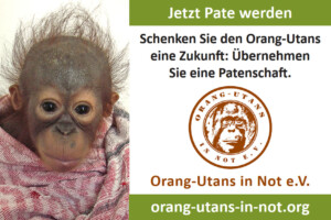 Vorschau der Freianzeige im Format 60x90: Auf der linken Seite ist ein Porträt eines Baby-Orang-Utans abgebildet, der in eine Decke gewickelt ist.  Daneben steht am oberen Rand: „Jetzt Pate werden“ und „Schenken Sie den Orang-Utans eine Zukunft: Übernehmen Sie eine Patenschaft“. Darunter sind Vereinslogo, Vereinsname und Webadresse abgebildet.