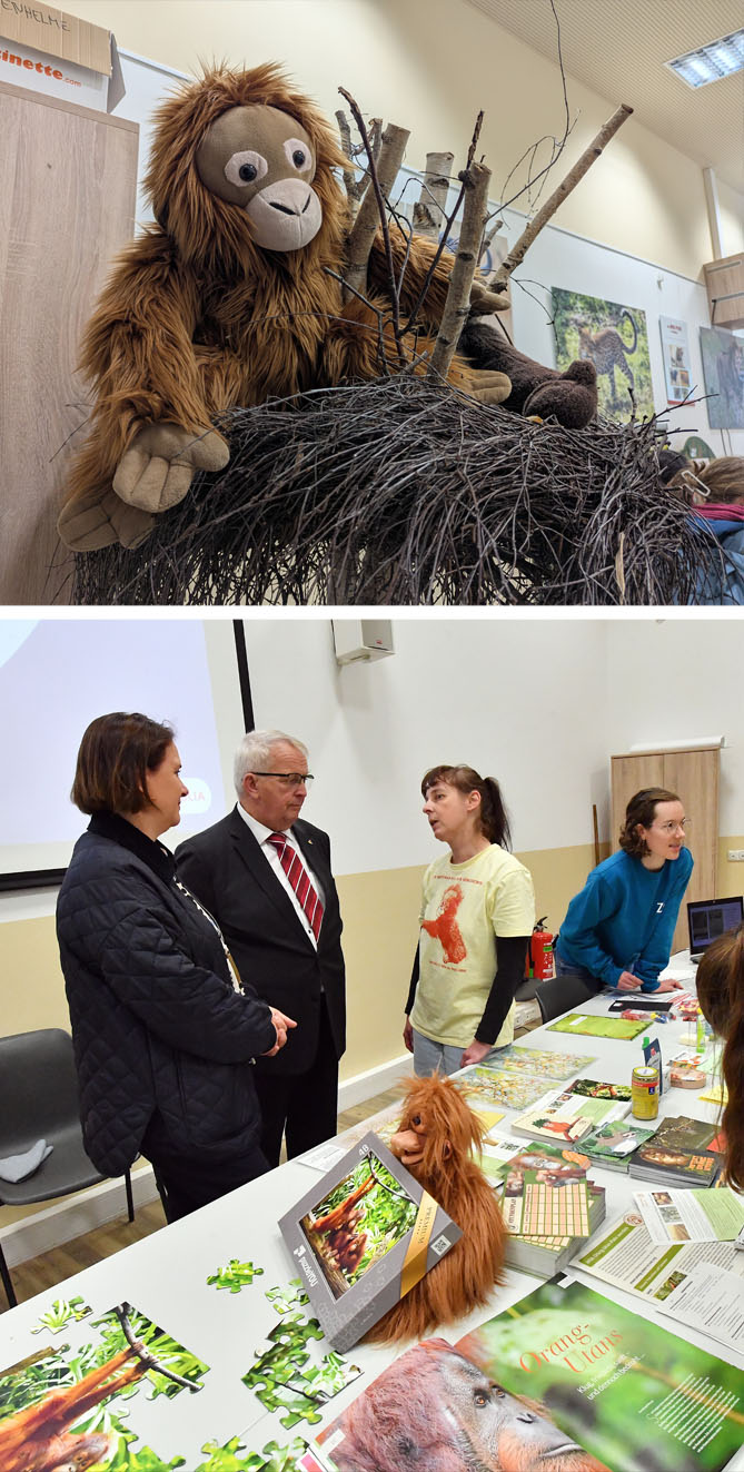 Bild oben: Ein Plüsch-Orang-Utan sitzt in einem aus dünnen Ästen gebauten Schlafnest. Bild unten: Hanna unterhält sich am Infostand mit Herrn Dr. Till Backhaus, dem Landwirtschaftsminister von Mecklenburg-Vorpommern und der Zoodirektorin Frau Antje Angeli.