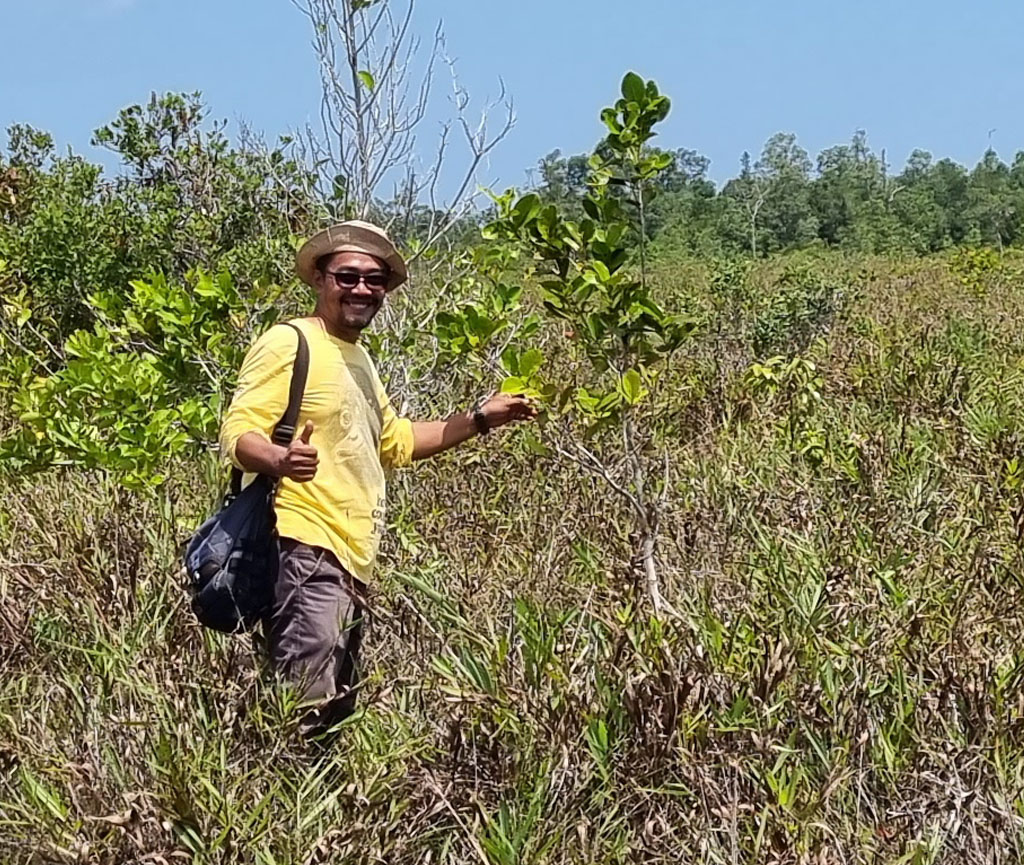 Ein Mitarbeiter der Orangutan Foundation UK steht neben einem 2019 gepflanzten Baum im Aufforstungsgebiet.
