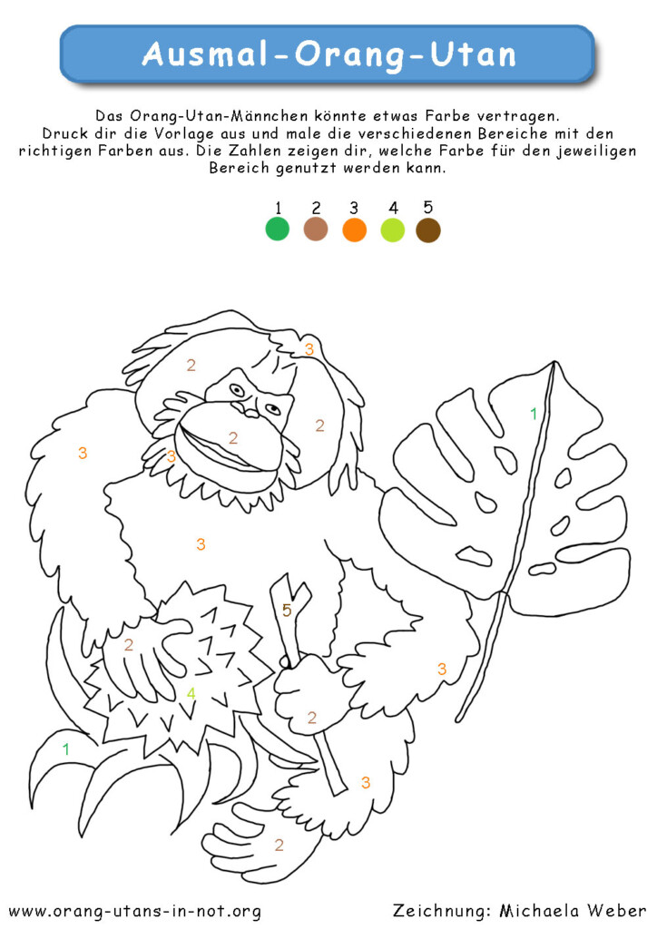 Ein Orang-Utan-Ausmalbild nach Zahlen. Über dem Bild sind fünf Farben abgebildet. Jede Farbe ist mit einer Zahl versehen. Die fünf Zahlen finden sich auch auf dem Ausmalbild wieder.