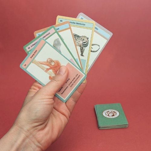 Vor einem roten Hintergrund hält eine Hand selbstgebastelte Quartettkarten.
