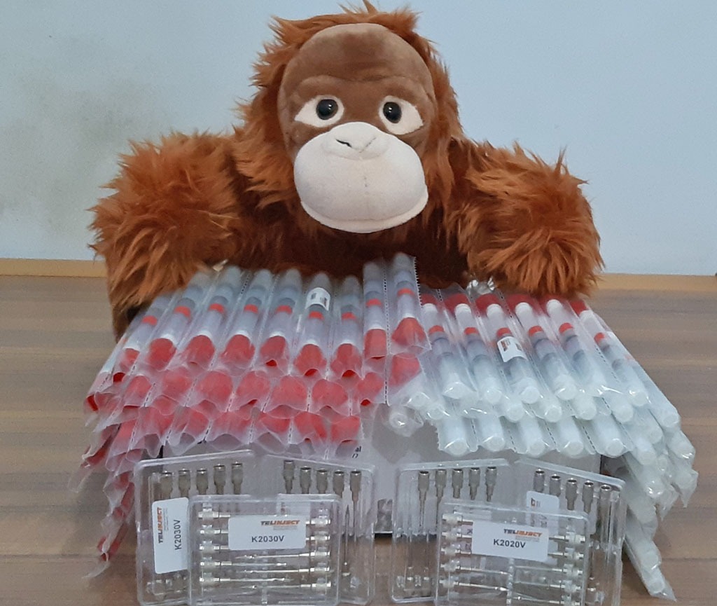 Ein Plüsch-Orang-Utan sitzt hinter Blasrohrpfeilen und Kanülen.