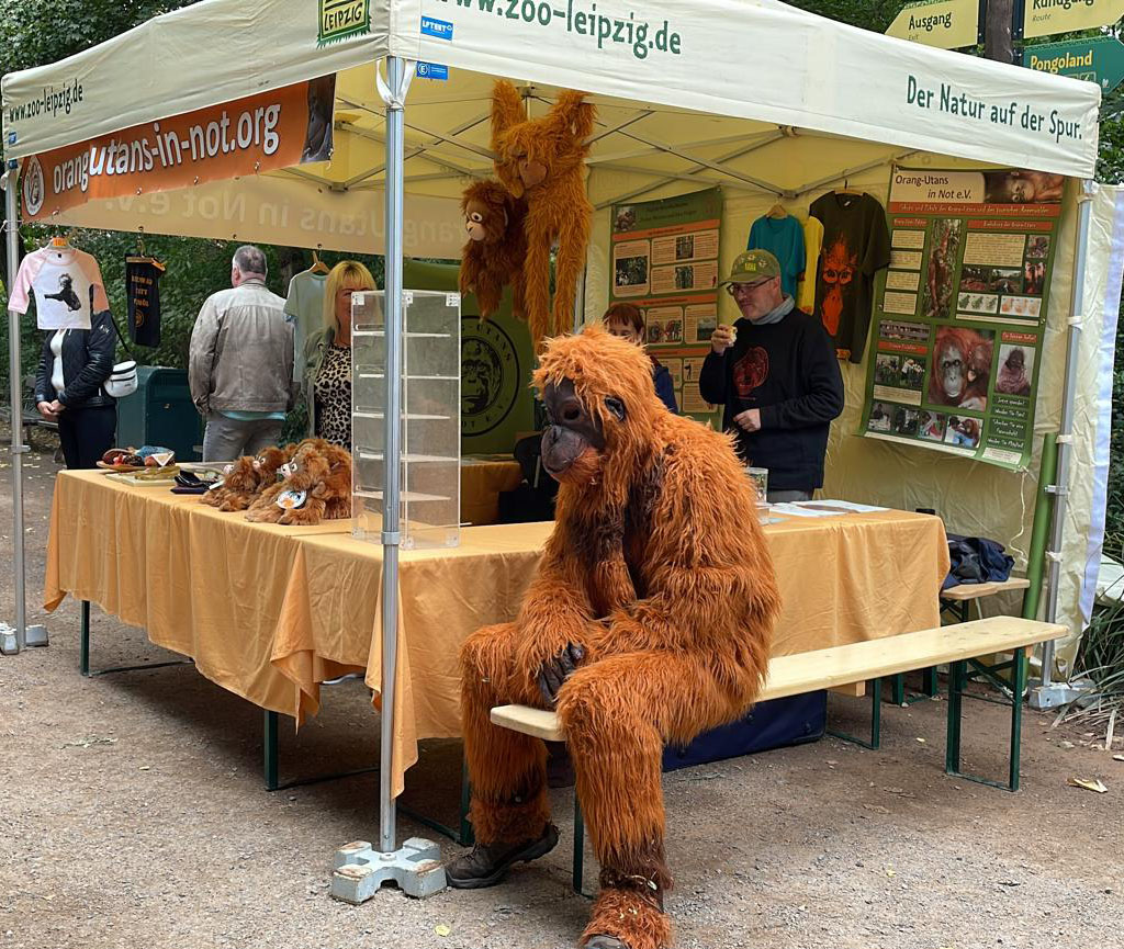 Unser Informationsstand bei den Entdeckertagen Artenschutz. Vor dem Stand sitzt eine Person in einem Orang-Utan-Kostüm auf einer Bank.