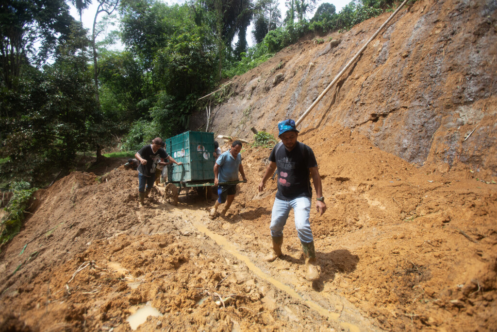 Das SOCP-Team evakuiert einen der Orang-Utans mit einem Handwagen, weil der Weg weggespült wurde.