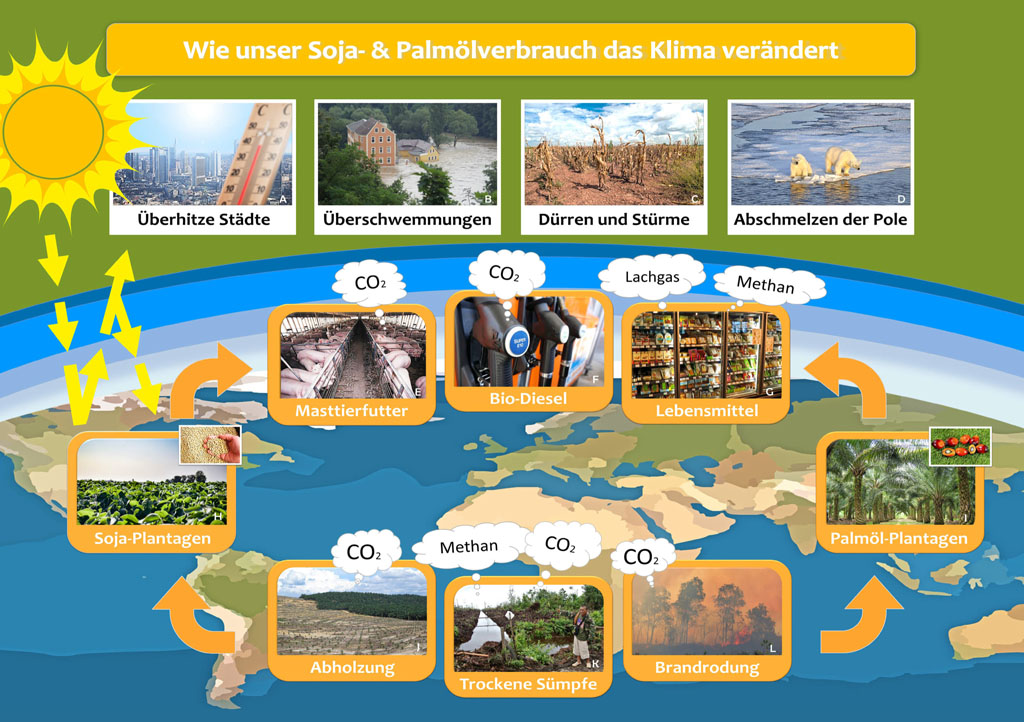 Vorderseite des Flyers mit dem Titel "Wie unser Soja- & Palmölverbrauch das Klima verändert". Unter einem Erklärungstext sind vier Bilder, die die Folgen der Erderwärmung zeigen. Unter den Bildern ist der CO2 Kreislauf anhand von Fotos dargestellt. In Hintergrund ist die Weltkarte dargestellt.