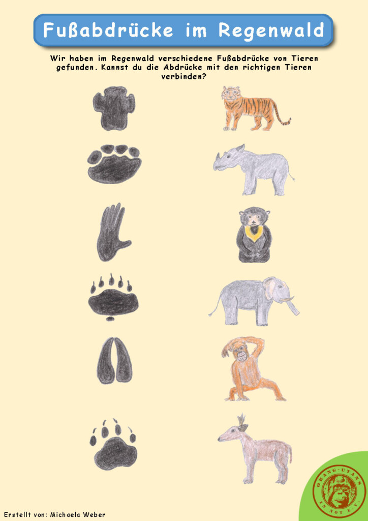 Das Spiel "Fußabdrücke im Regenwald. Oben steht:" Wir haben im Regenwald verschiedene Fußabdrücke von Tieren gefunden. Kannst du die Abdrücke mit den richtigen Tieren verbinden?". Links sind sechs verschiedene Fußabdrücke abgebildet. Links sind ein Tiger, ein Nashorn, ein Malaienbär, ein Elefant, ein Orang-Utan und eine Antilope abgebildet.