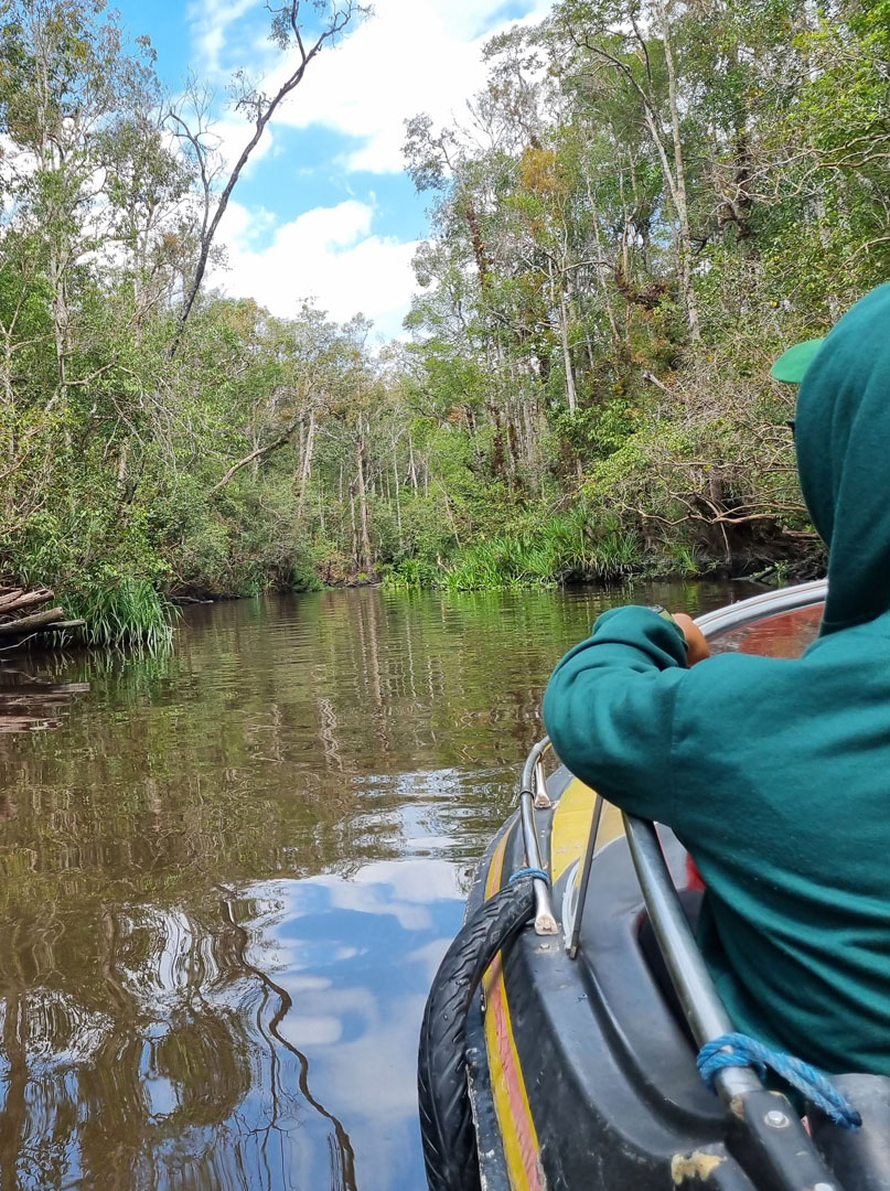 Blick in einen schmalen Flussarm im Regenwald. Die Aufnahme wurde von einem kleinen Motorboot gemacht.