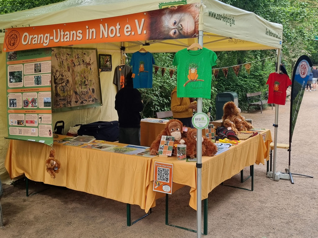 Unser Verkaufs- und Informationsstand bei den Entdeckertagen Asien im Leipziger Zoo. Auf drei Tischen unter einem Pavillon liegen diverse Infomaterialien und Flyer, Plüsch-Orang-Utans und T-Shirts zum Verkaufen sowie Spiel- und Bastelmaterialien für Kinder.