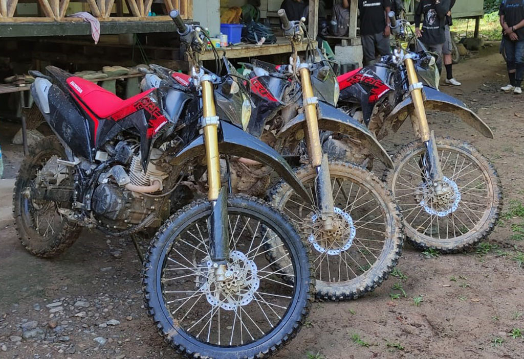 Drei neue Motorräder stehen nebeneinander vor einem Gebäude der Auswilderungsstation.